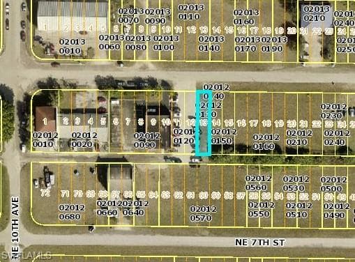 1028 NE 7th TER, CAPE CORAL FL 33909-1