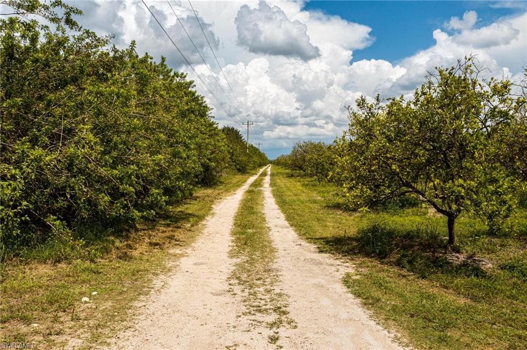 21983 Carter RD, ESTERO FL 33928-13