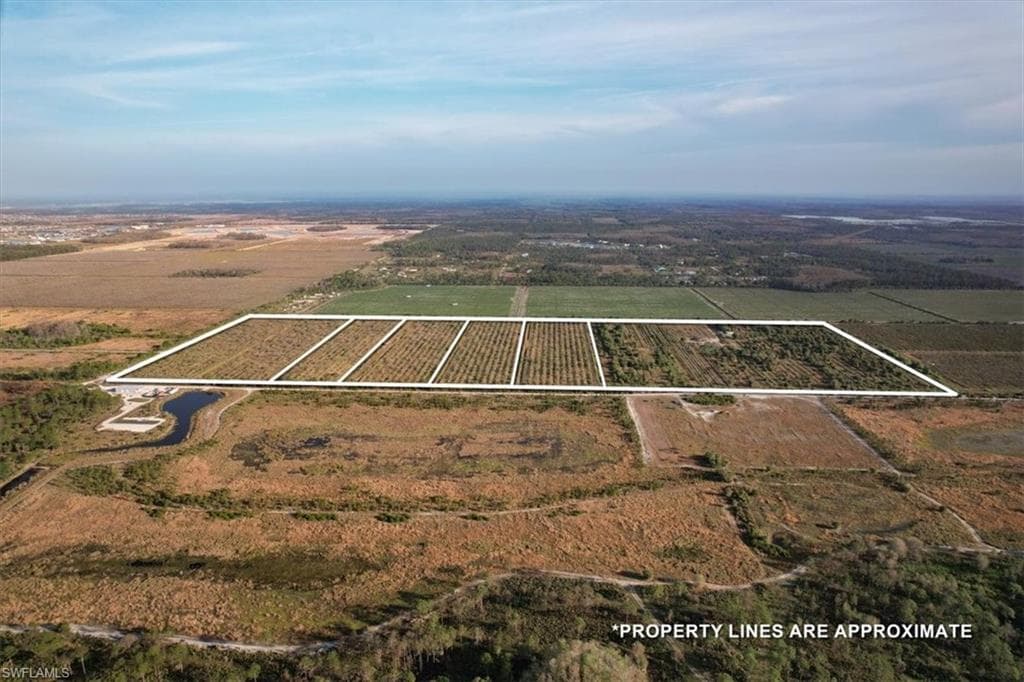 21991 Carter RD, ESTERO FL 33928-3