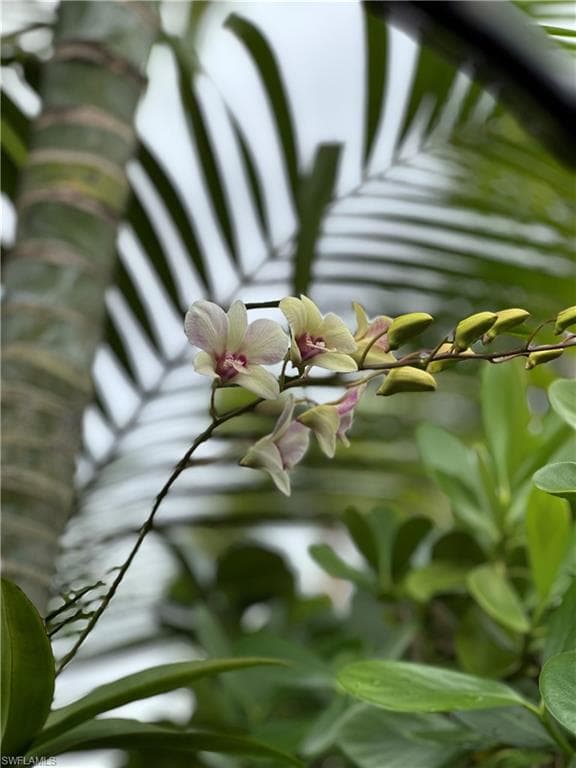 13573 Snapper LN, NAPLES FL 34114-34