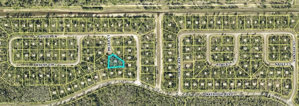 2154 Melba CT, LEHIGH ACRES FL 33972-1