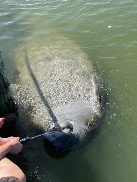 239 Ibis ST, FORT MYERS BEACH FL 33931-39