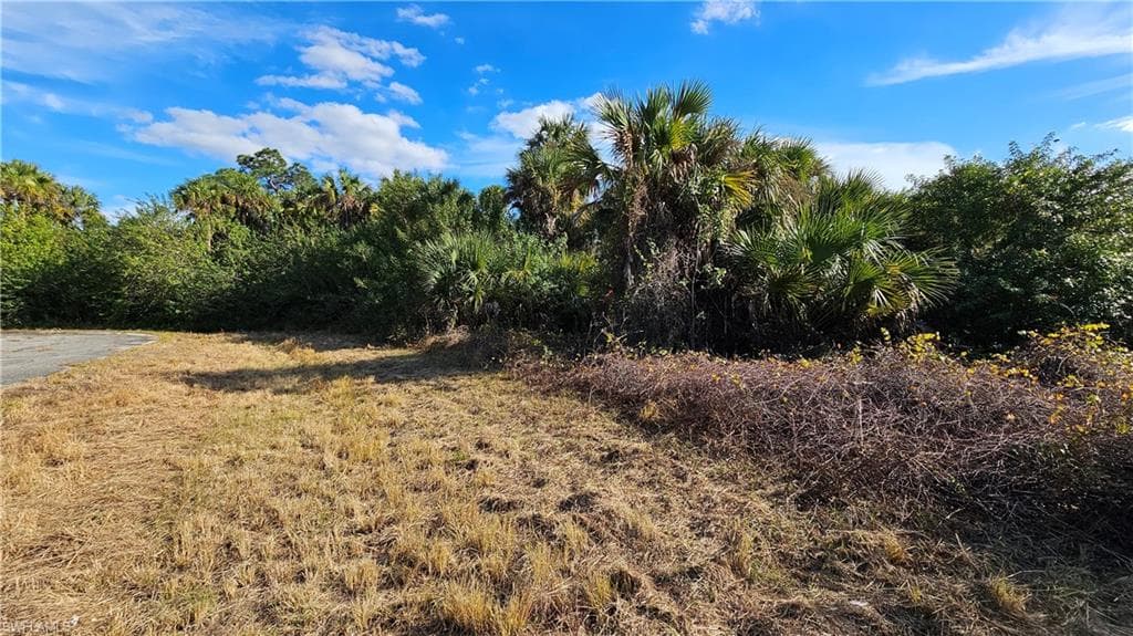 811 Opal CT, LABELLE FL 33935-12