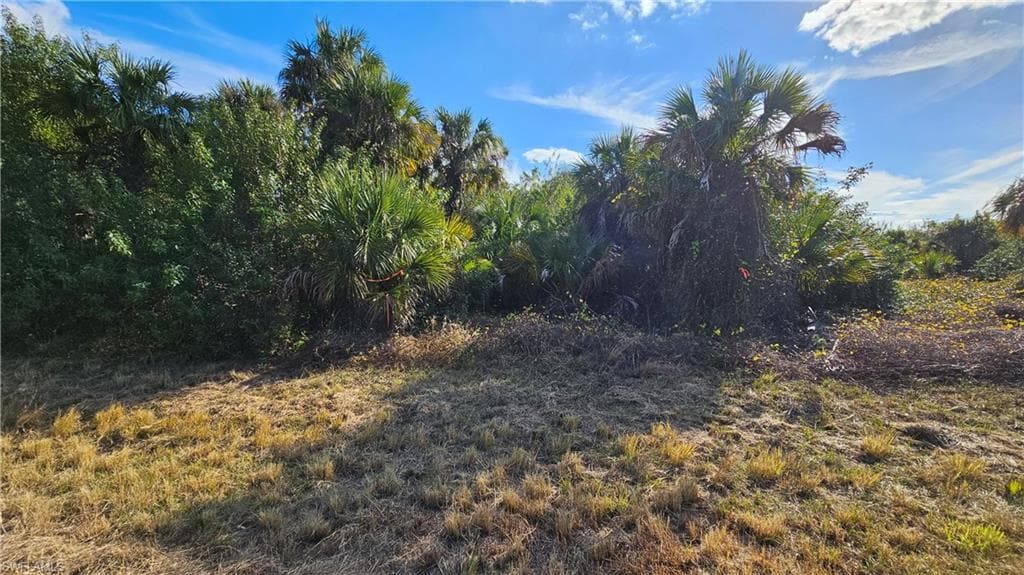 811 Opal CT, LABELLE FL 33935-6