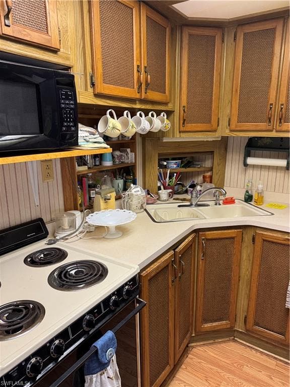 10848 Bonapartes Gull, ESTERO FL 33928-13