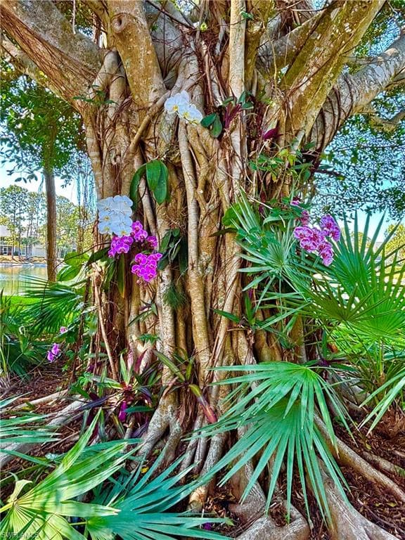 1220 Sarah Jean CIR # L103, NAPLES FL 34110-32
