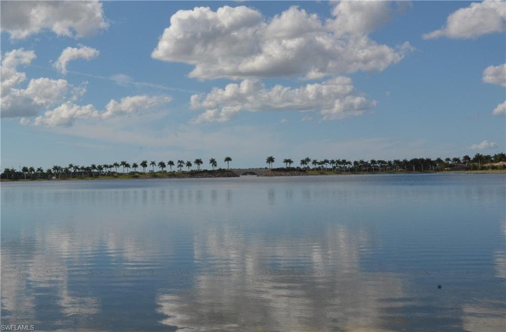 10295 Heritage Bay BLVD # 911, NAPLES FL 34120-48