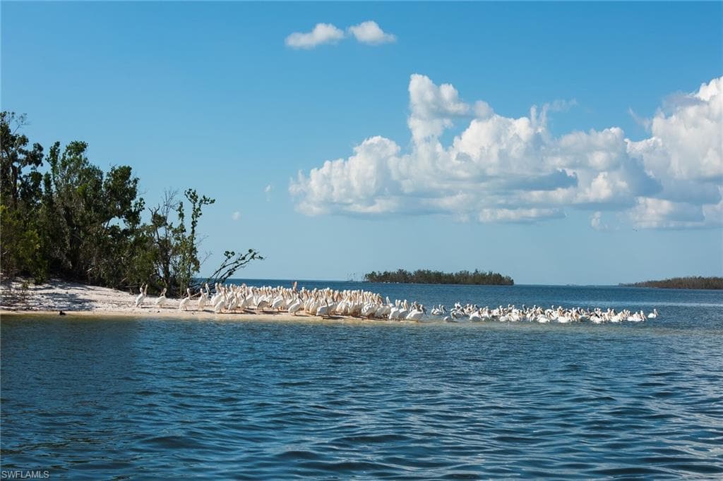 338 Newport DR # 1807, NAPLES FL 34114-36