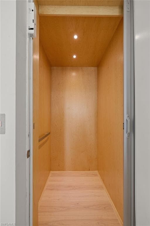 121 Hibiscus DR-20