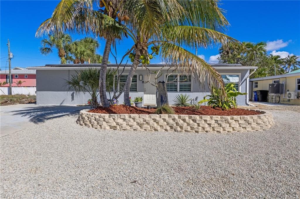 179 Hibiscus DR-1