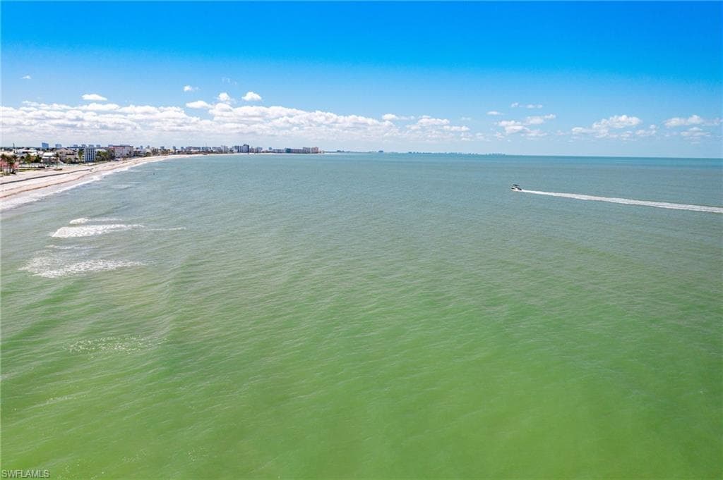 179 Hibiscus DR-41
