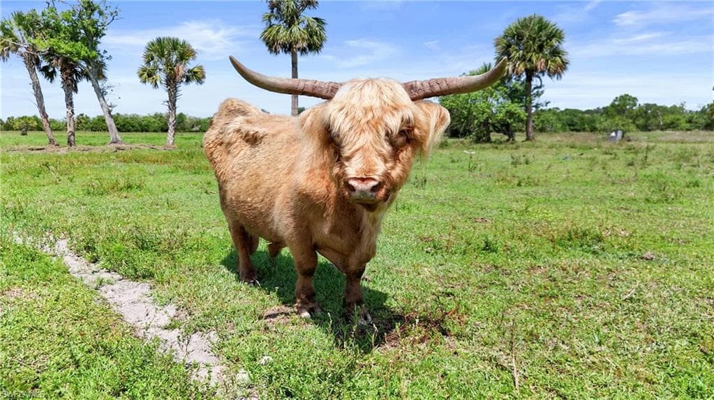 2777 Everhigh Acres RD, CLEWISTON FL 33440-5