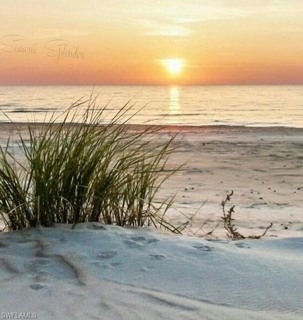 18038 San Carlos BLVD # 115, FORT MYERS BEACH FL 33931-48