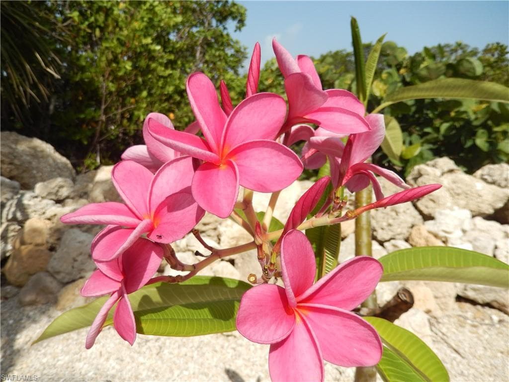 21521 Widgeon TER, FORT MYERS BEACH FL 33931-48