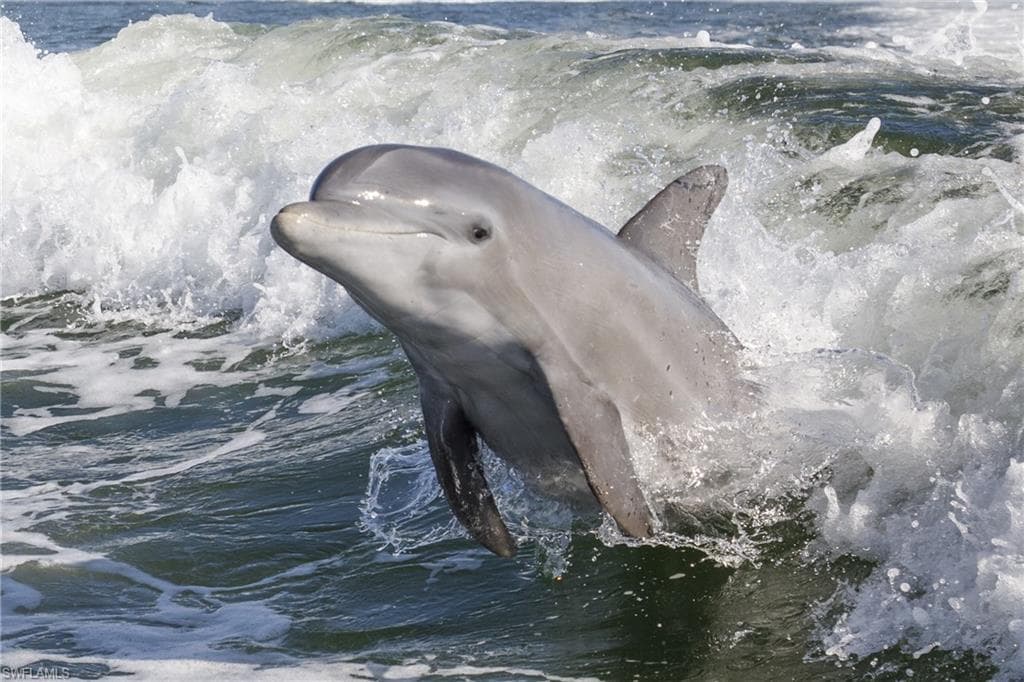 4118 Bayside Villas, CAPTIVA FL 33924-22