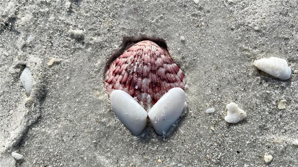 4118 Bayside Villas, CAPTIVA FL 33924-29