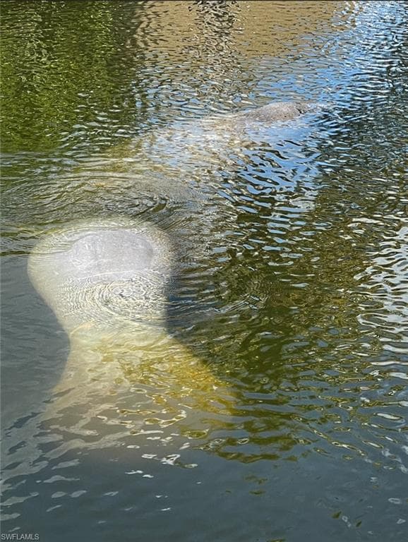 24398 Treasure Island BLVD, PUNTA GORDA FL 33955-44