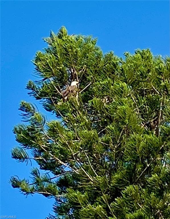 24398 Treasure Island BLVD, PUNTA GORDA FL 33955-43