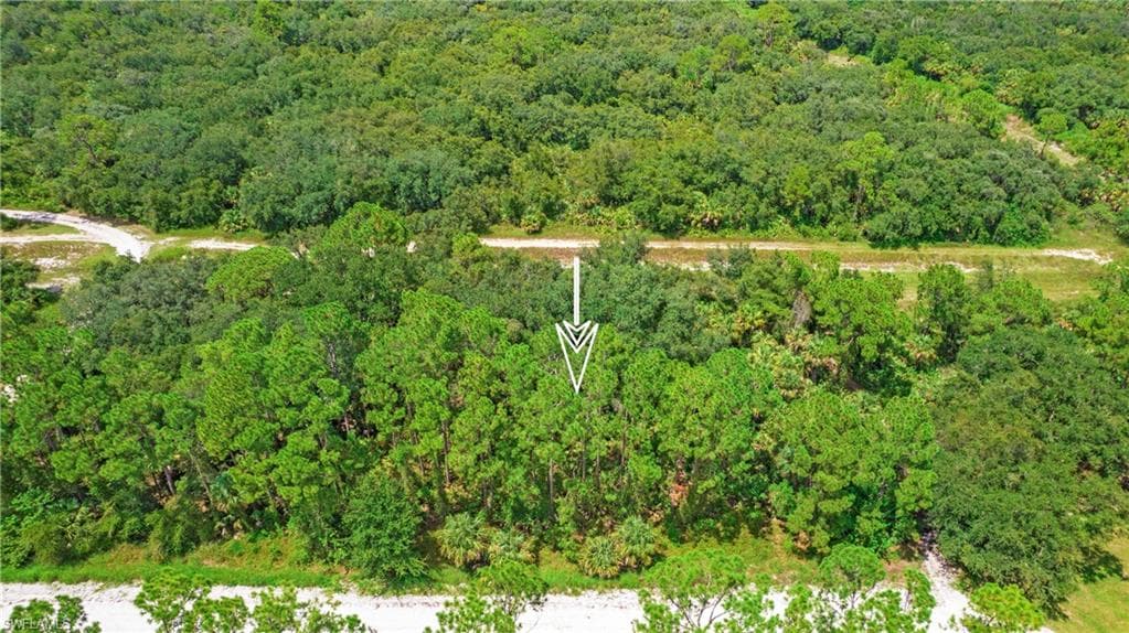 4235 E 31st ST, ALVA FL 33920-15