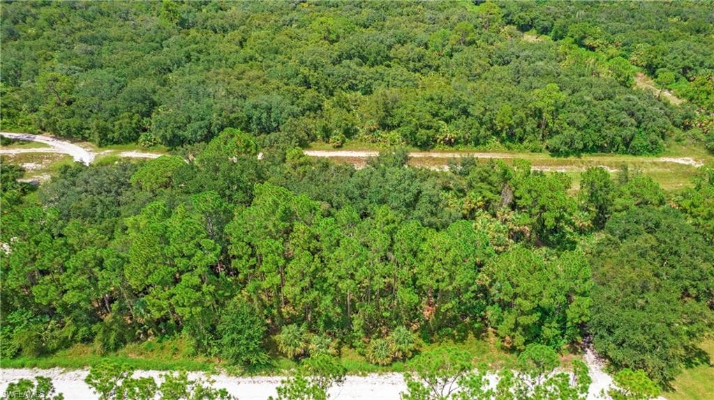 4235 E 31st ST, ALVA FL 33920-14