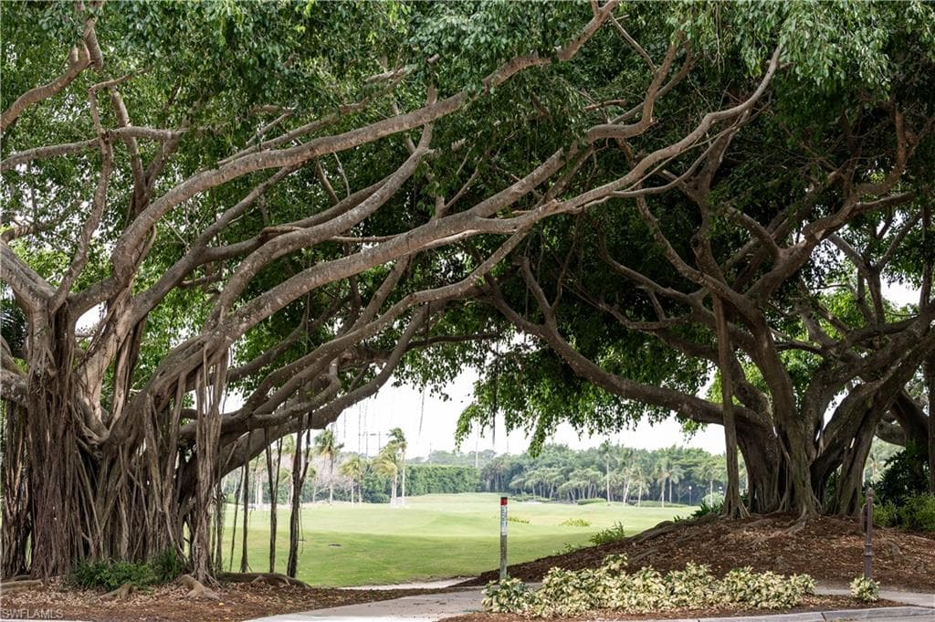 1633 CHINABERRY WAY, NAPLES FL 34105-27