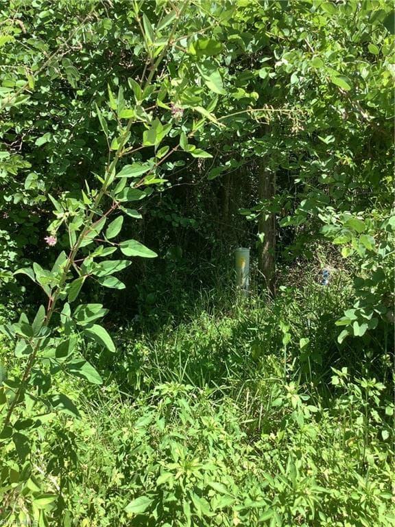 4910 N Miraham DR, IMMOKALEE FL 34142-4