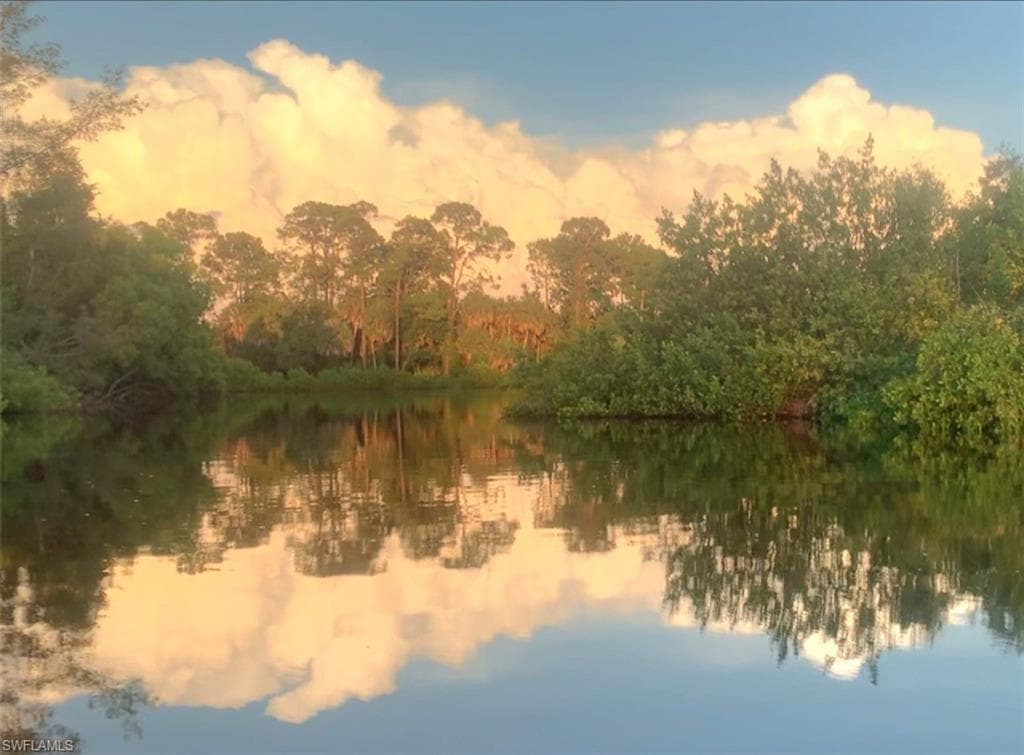 4084 New Moon CT, NAPLES FL 34112-2