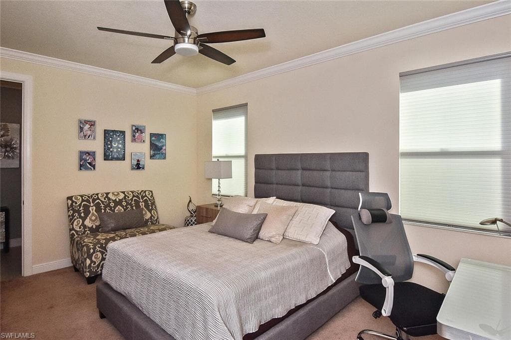23124 Sanabria LOOP-26
