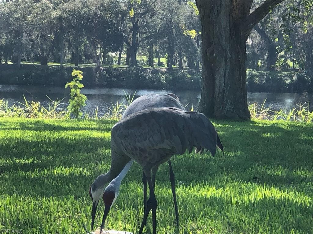 3145 Shell LN, FORT DENAUD FL 33935-13