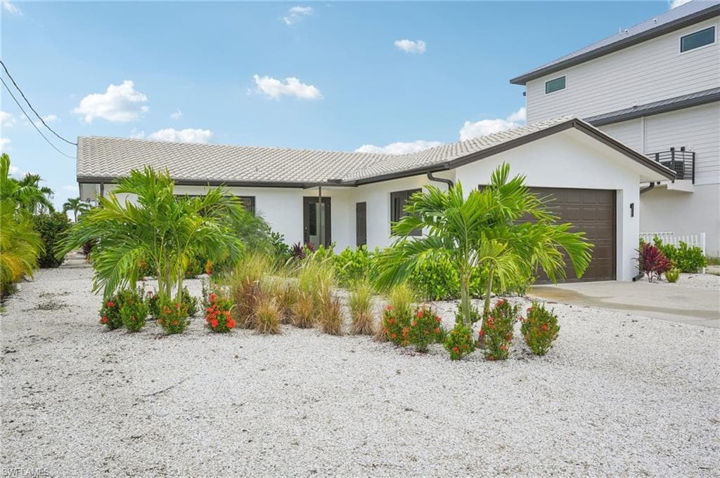 268 Ibis ST-38