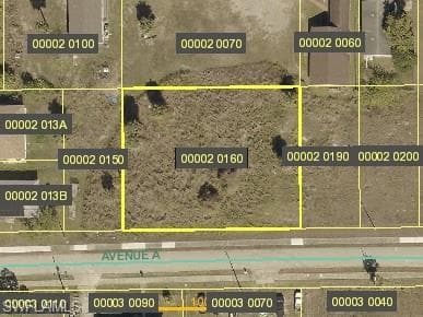 23031 Avenue A, ALVA FL 33920-1