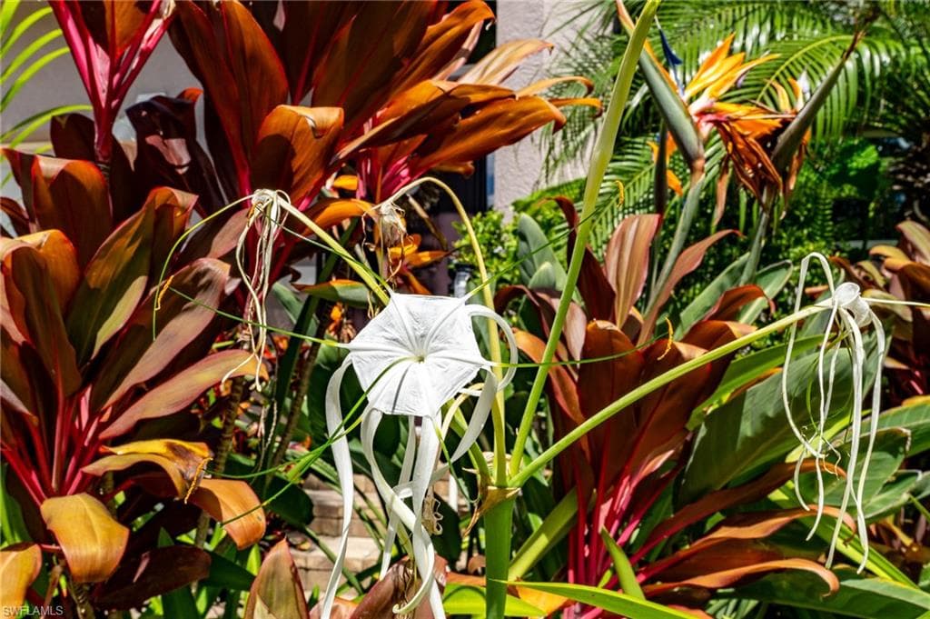 14380 Hampton Lake CT, FORT MYERS FL 33908-34