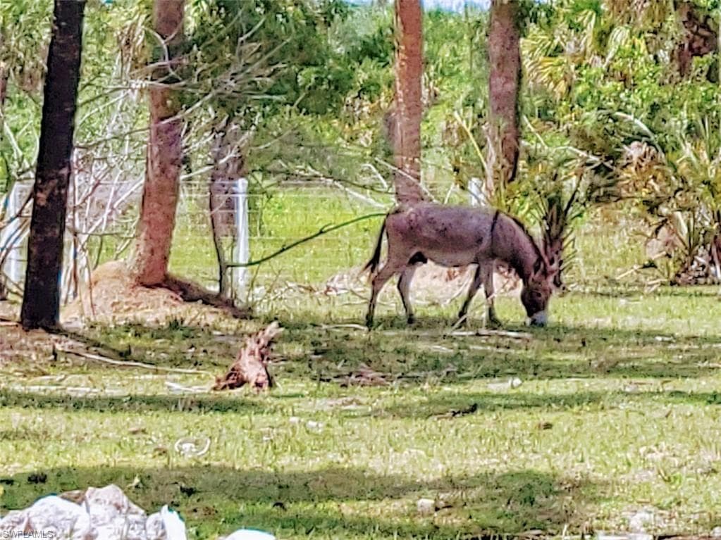 1001 Homestead AVE, CLEWISTON FL 33440-8