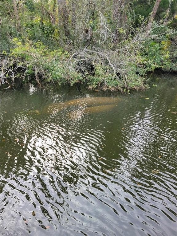 3570 Williamson RD, FORT MYERS FL 33905-8