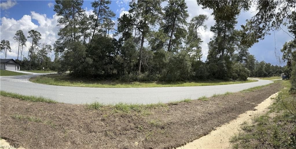 XXX SW 167th LOOP, OCALA FL 34473-5