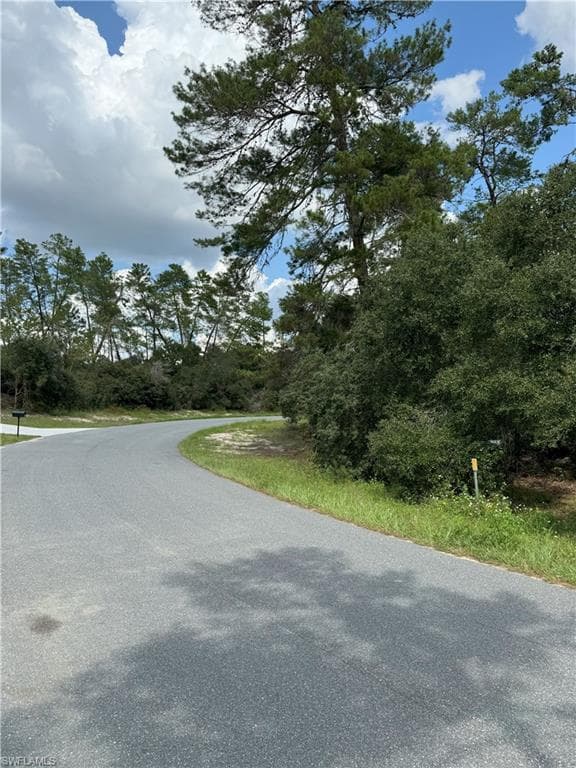 XXX SW 167th LOOP, OCALA FL 34473-9