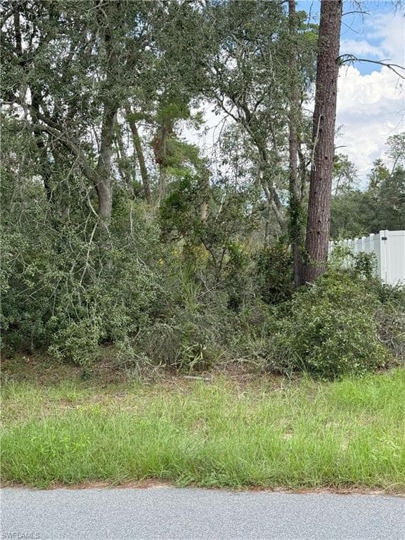 XXX SW 167th LOOP, OCALA FL 34473-10