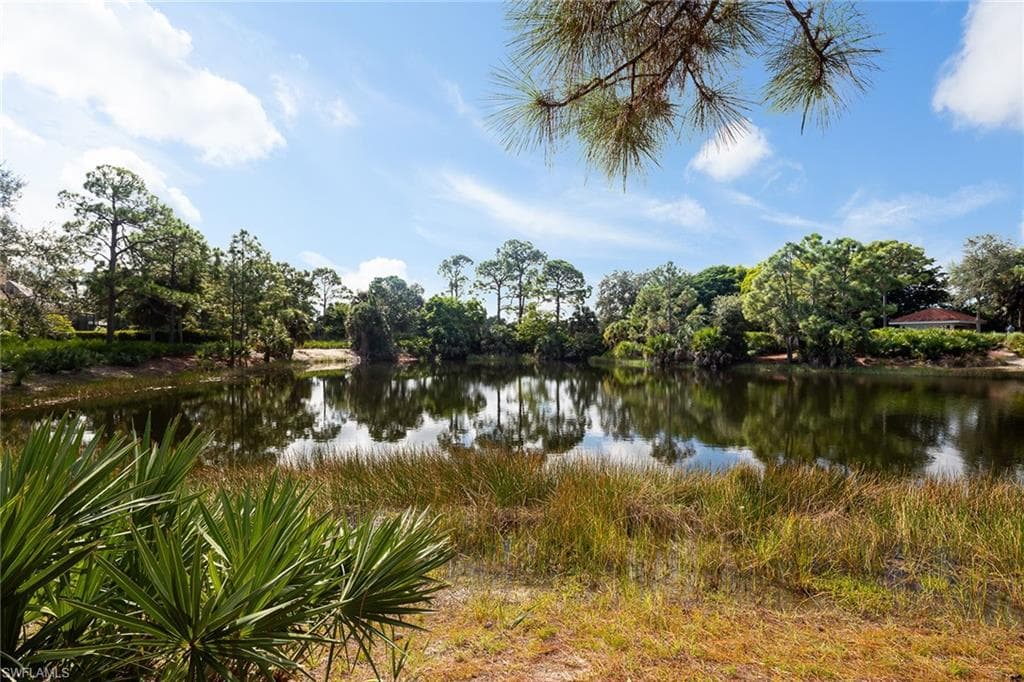 11617 Useppa CT, NAPLES FL 34110-30