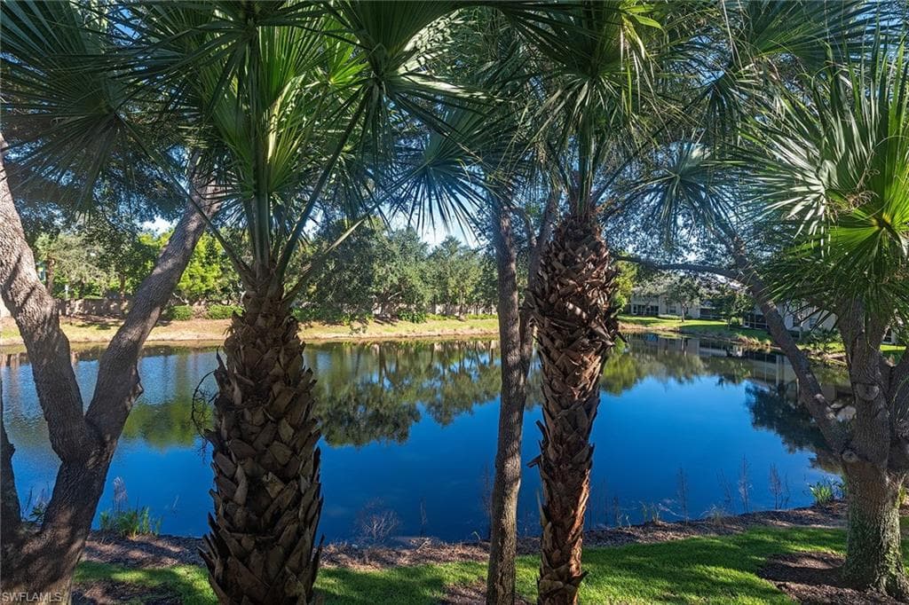 7115 Wild Forest CT # 201, NAPLES FL 34109-12