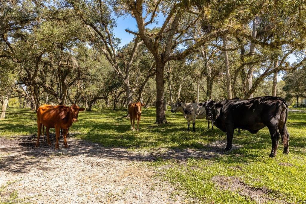 1400 Catamount RD, LABELLE FL 33935-43