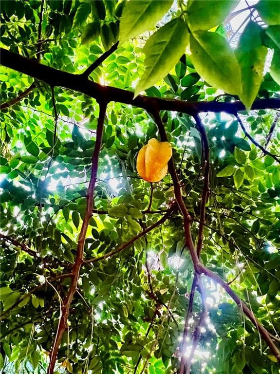 7623/7621 Breeze DR, NORTH FORT MYERS FL 33917-37