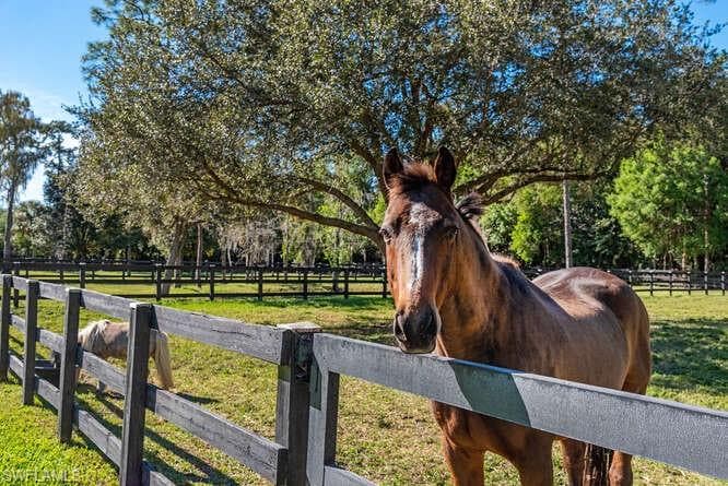 6920 Daniels RD, NAPLES FL 34109-21