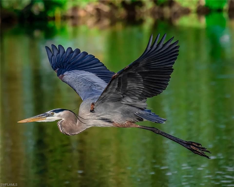 1483 Gormican LN, NAPLES FL 34110-39