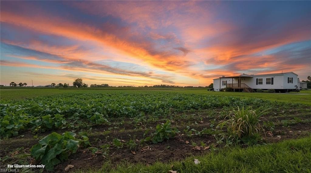 6 SABAL PALM RD, IMMOKALEE FL 34142-8