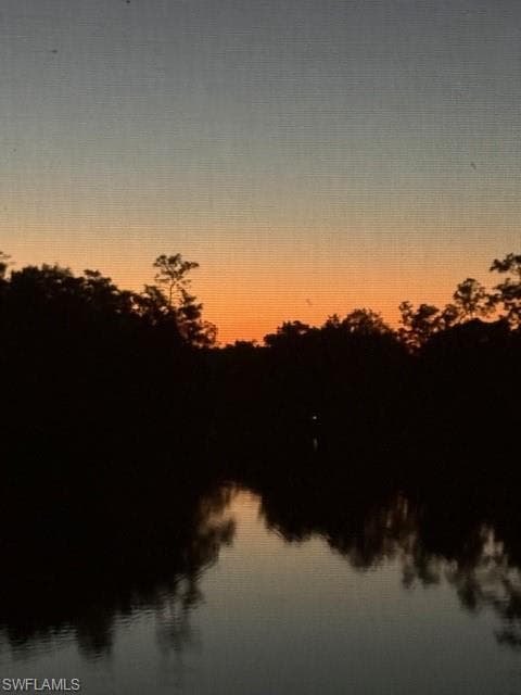 20687 Wildcat Run DR # 201, ESTERO FL 33928-43