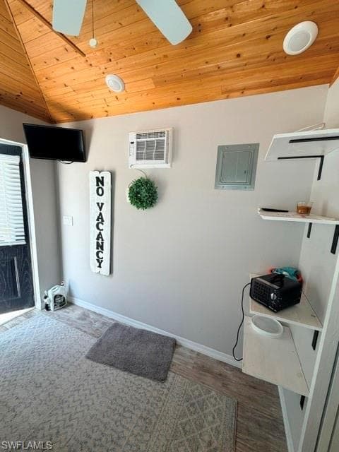5205 Pineland Daisy TRL-22