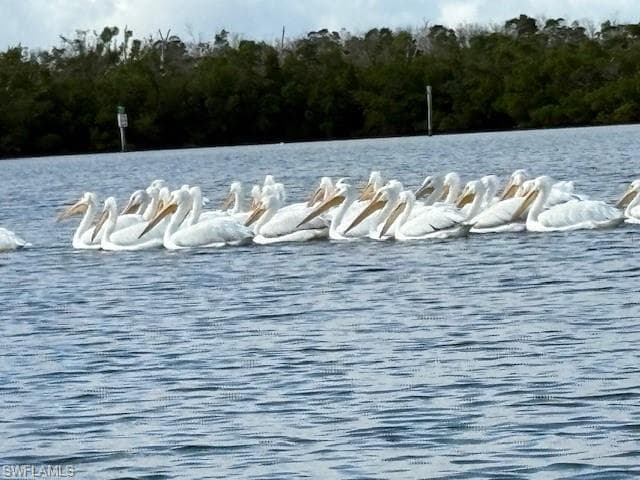 12122 Siesta DR, FORT MYERS BEACH FL 33931-43