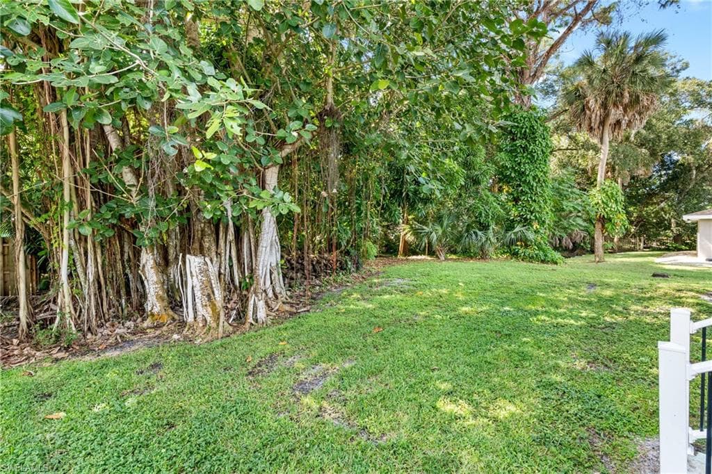 10004 Connecticut ST, BONITA SPRINGS FL 34135-15