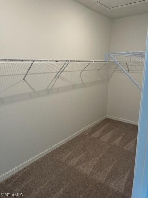 14625 Libros CT, FORT MYERS FL 33905-16