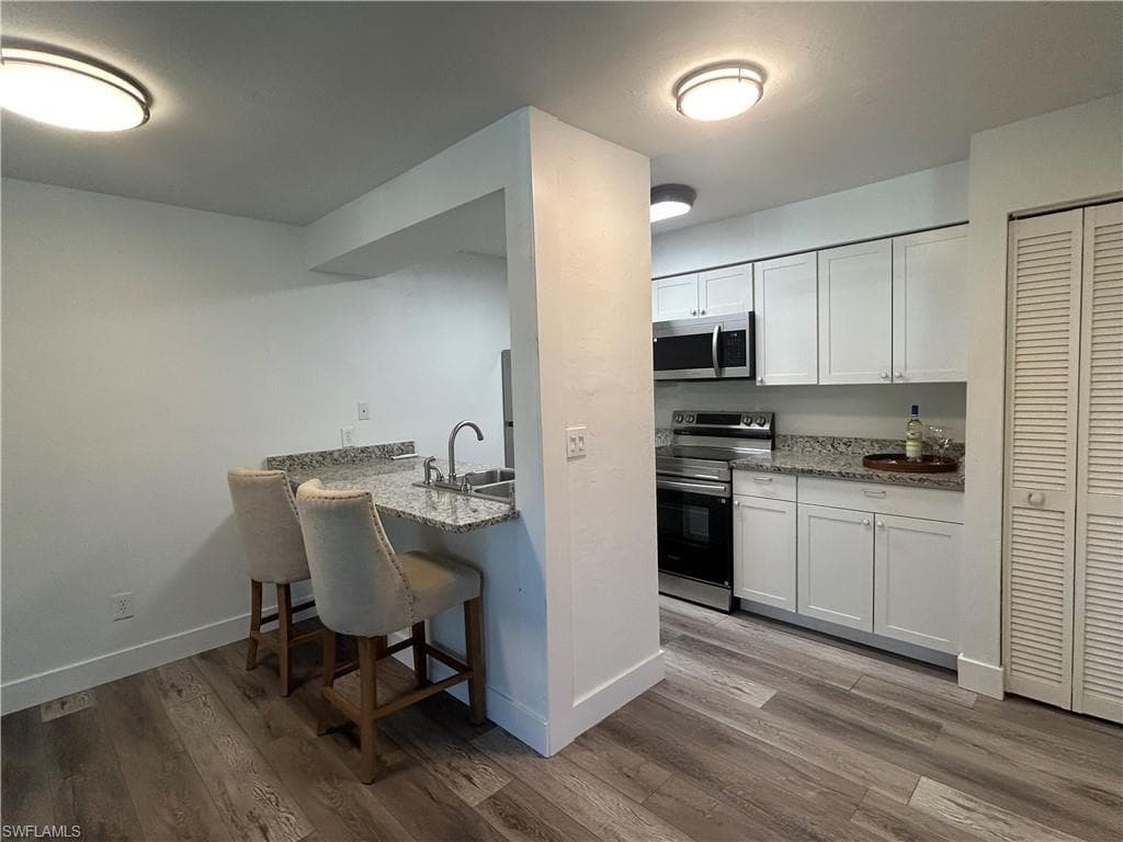 13118 Feather Sound DR # 204, FORT MYERS FL 33919-3